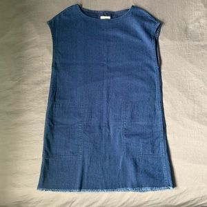 Aritzia Wilfred Free Denim Nori Dress